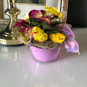 Pansies & chicks! Small cute arrangement.